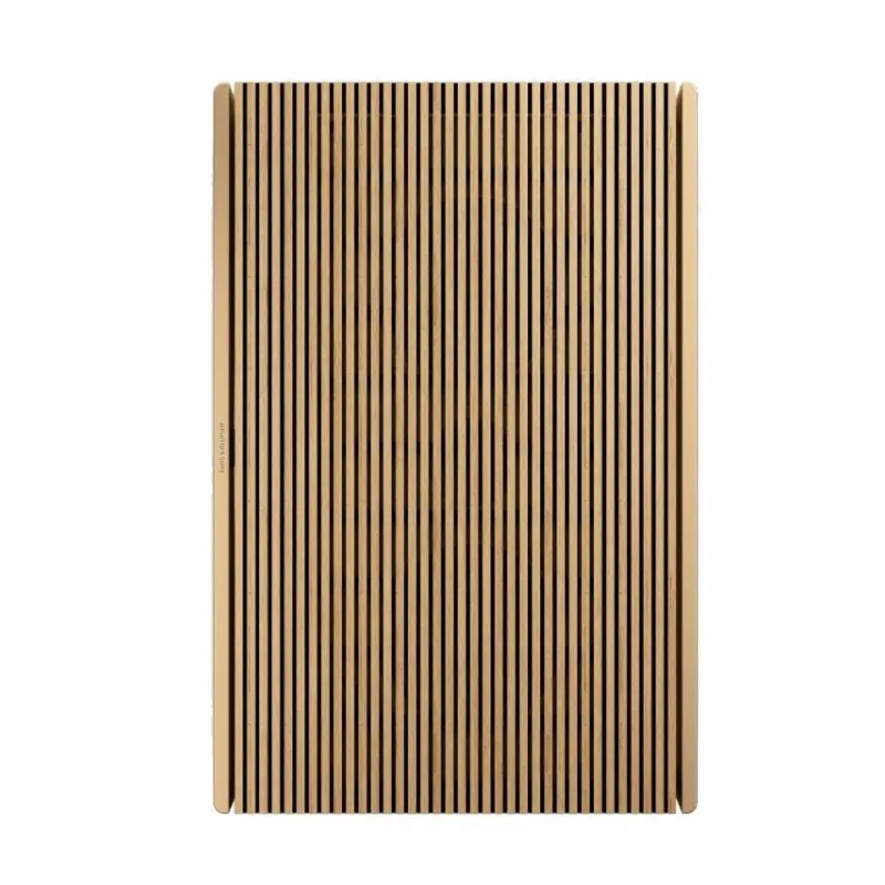 Портативная акустическая система Bang & Olufsen Beosound Level - 1