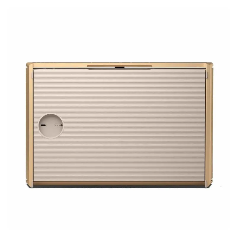 Портативная акустическая система Bang & Olufsen Beosound Level - 5