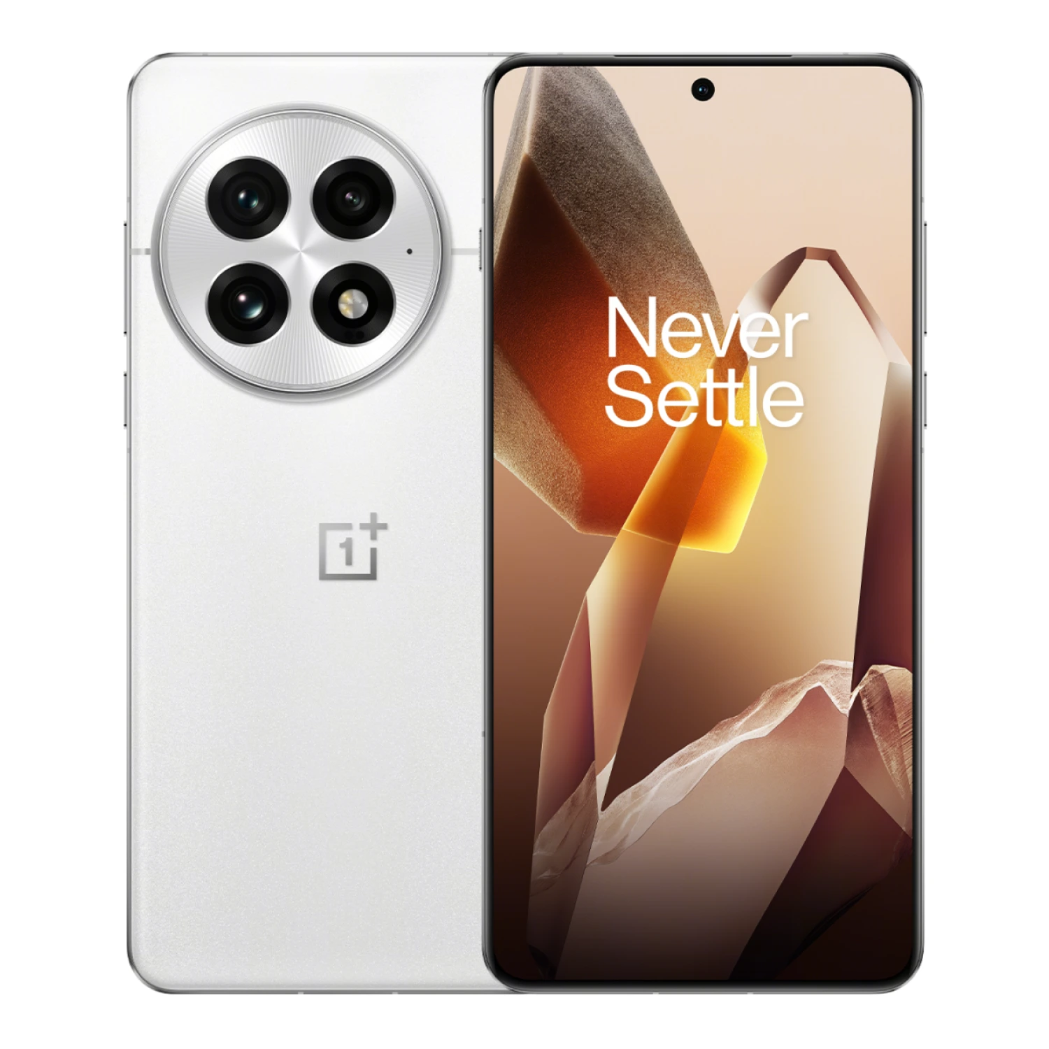 Смартфон OnePlus 13 - 1