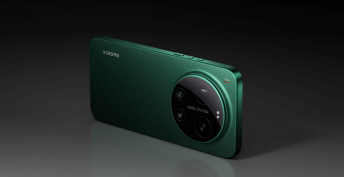 сс17услбс 2.webp