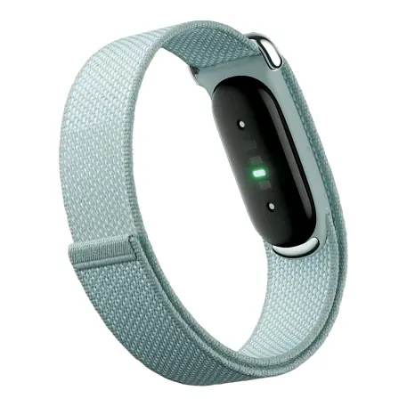 Фитнес-браслет Google Fitbit Air "туманный" - 2