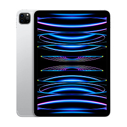 Планшет Apple iPad Pro 11" (2022) M2 Wi-Fi + Cellular  2 ТБ серебристый (MP5H3)