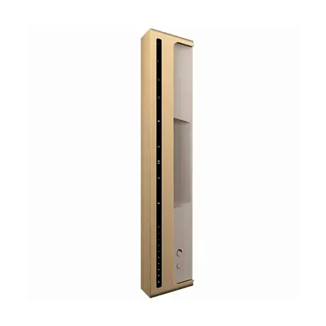 Портативная акустическая система Bang & Olufsen Beosound Level золотой - 3