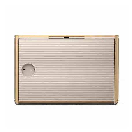 Портативная акустическая система Bang & Olufsen Beosound Level золотой - 5