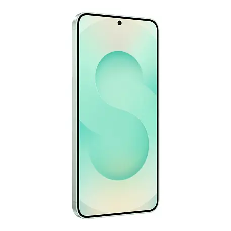 Смартфон Samsung Galaxy S25 12/512 ГБ мятный (2sim) - 5