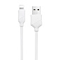 Сетевое зарядное устройство + кабель Lightning Hoco C12A 12 Вт, белый