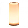 Умная настольная лампа Xiaomi Philips Zhirui Smart Bedside Lamp - 1