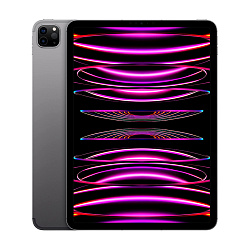 Планшет Apple iPad Pro 11" (2022) M2 Wi-Fi + Cellular  1 ТБ "серый космос" (MP5E3)