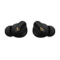 Беспроводные наушники Beats Studio Buds Plus