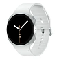 Умные часы Samsung Galaxy Watch 8 44мм