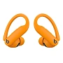 Беспроводные наушники Beats Powerbeats Pro 2 - 1