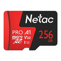 Карта памяти Netac P500 Extreme Pro (без адаптера), 256 ГБ