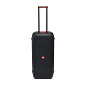 Акустическая система JBL Partybox 310 чёрный - 2
