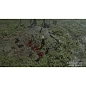 Игра для Xbox Diablo IV (оформление на учётную запись) - 2