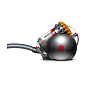 Пылесос Dyson Big ball Allergy 2 (CY28) - 2