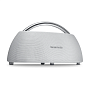 Портативная акустическая система Harman/Kardon Go+Play mini - 1